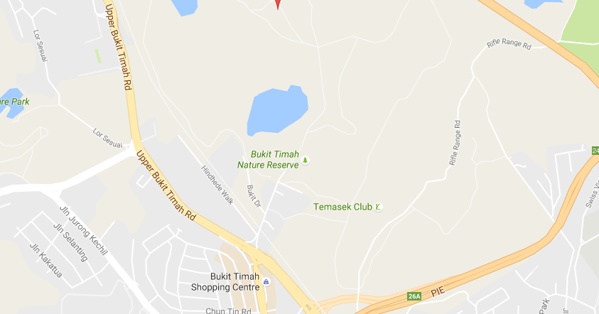 plumber bukit timah