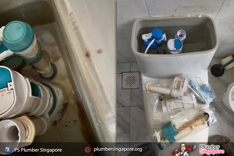 flushing system
