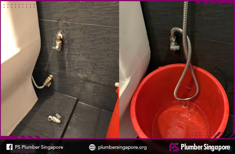 Bidet Spray Installation