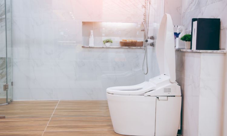 Different Types Of Toilet Flushing Systems