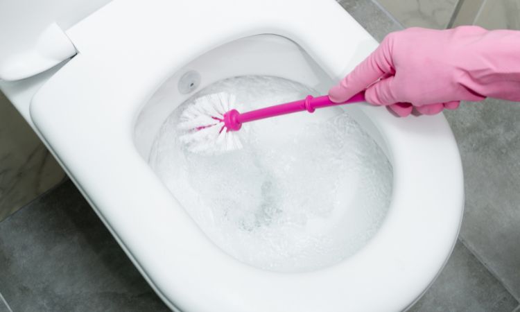 Save Water in Your Toilet